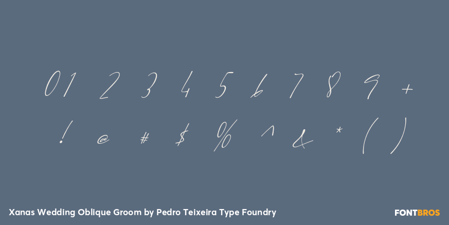 Xanas Wedding Oblique Groom Font Poster #4