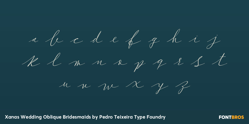 Xanas Wedding Oblique Bridesmaids Font Poster #3