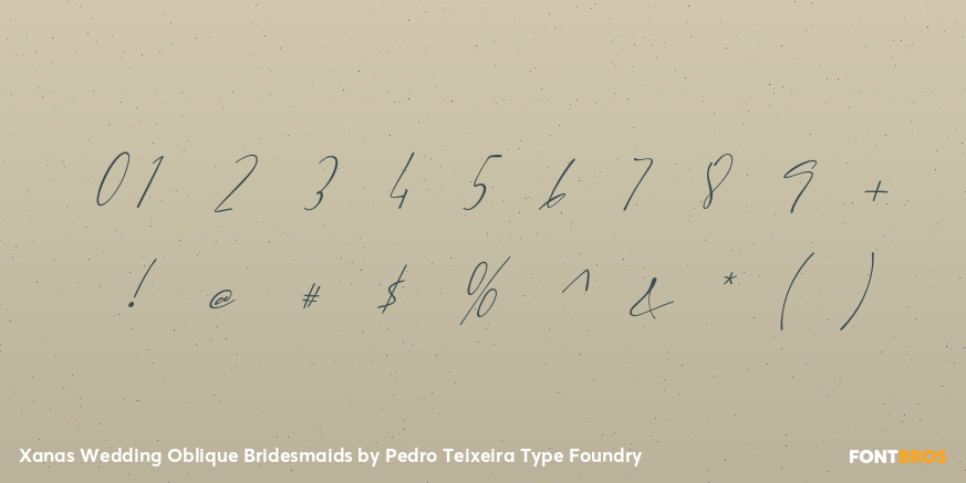 Xanas Wedding Oblique Bridesmaids Font Poster #4