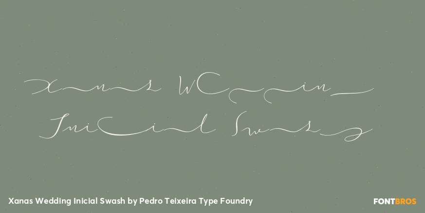 Xanas Wedding Inicial Swash Font Poster #1