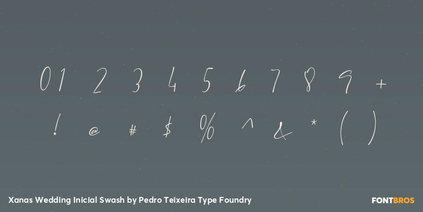 Xanas Wedding Inicial Swash Font Poster #4