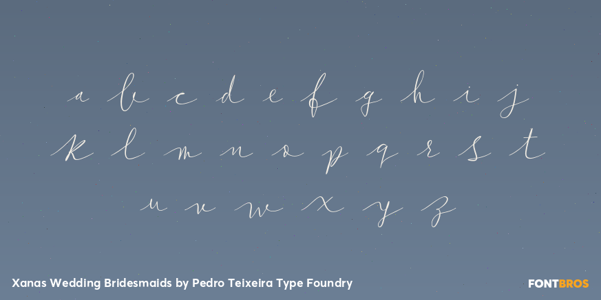 Xanas Wedding Bridesmaids Font Poster #3