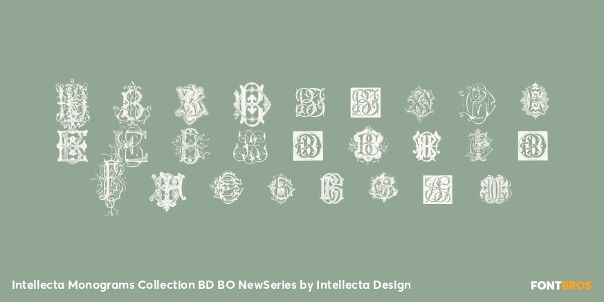 Intellecta Monograms Collection BD BO NewSeries Font Poster #3