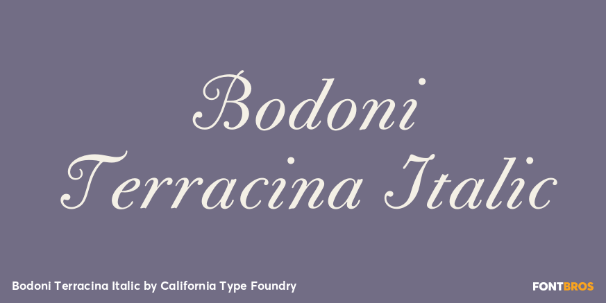Bodoni Terracina Italic Poster