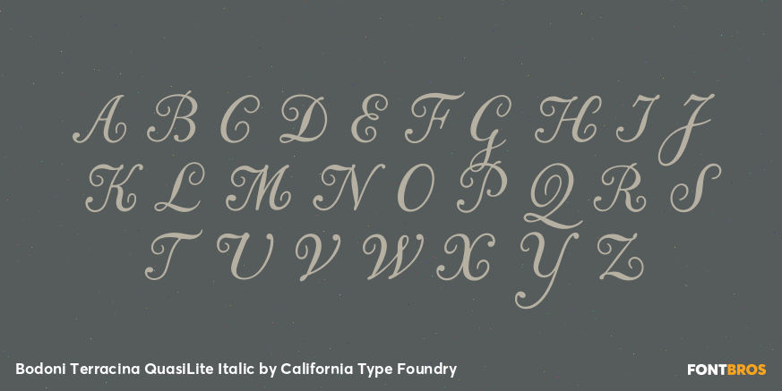 Bodoni Terracina QuasiLite Italic Font Poster #2