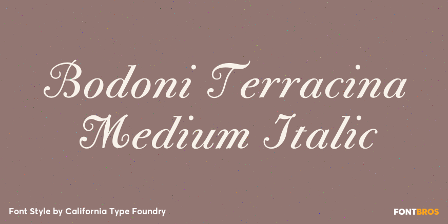 Bodoni Terracina Medium Italic Poster