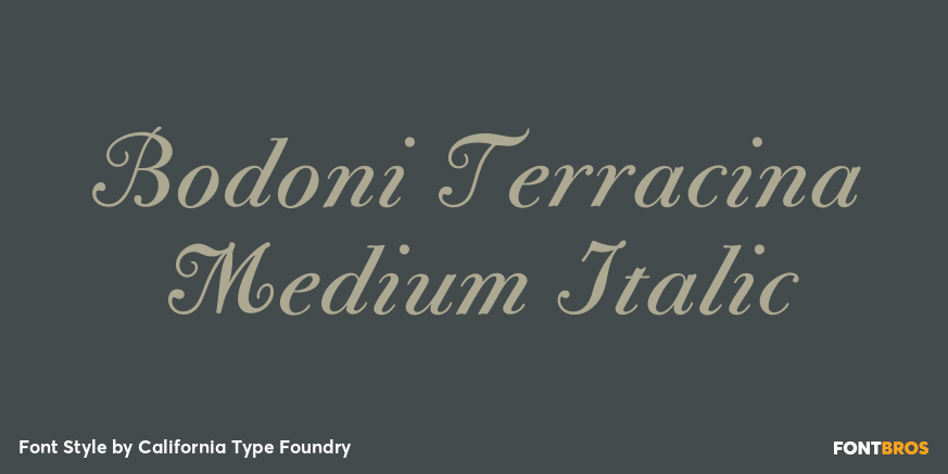 Bodoni Terracina Medium Italic Poster