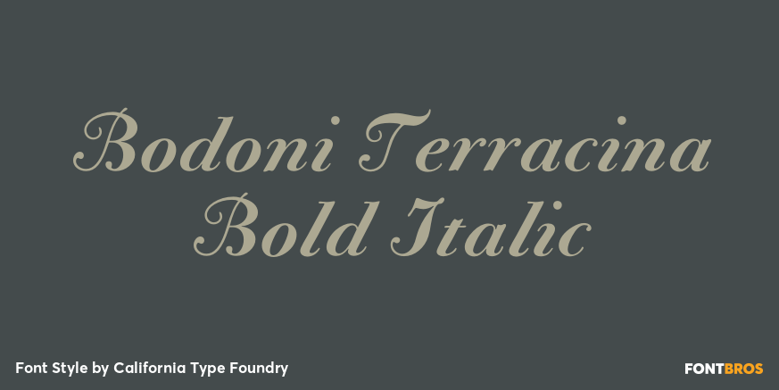 Bodoni Terracina Bold Italic Poster