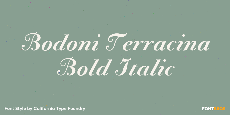 Bodoni Terracina Bold Italic Poster