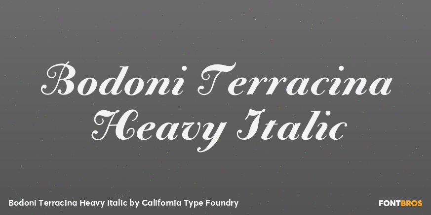 Bodoni Terracina Heavy Italic Poster