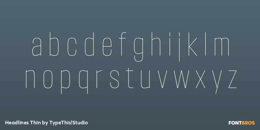 Headlines Thin Font Poster #3