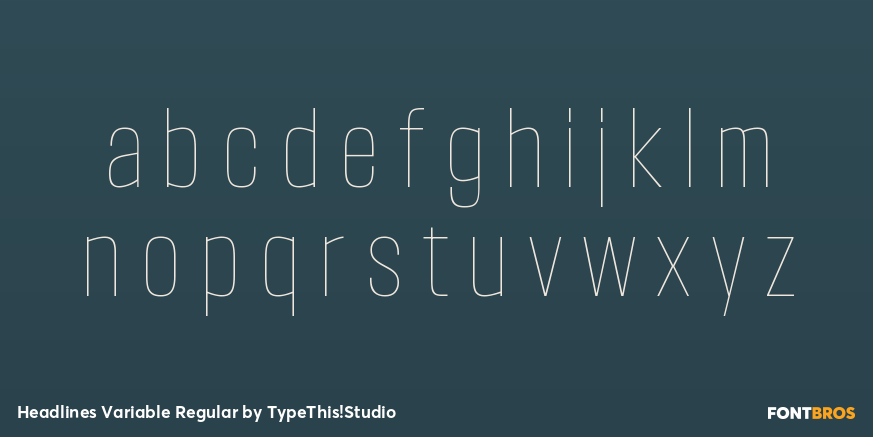 Headlines Variable Regular Font Poster #3
