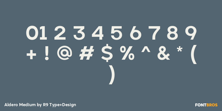 Aldero Medium Font Poster #4