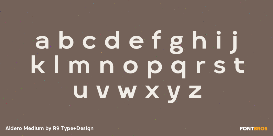 Aldero Medium Font Poster #3