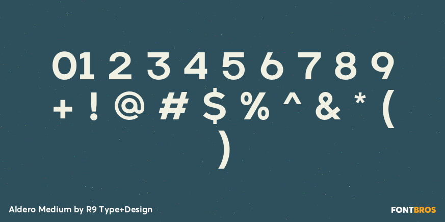 Aldero Medium Font Poster #4