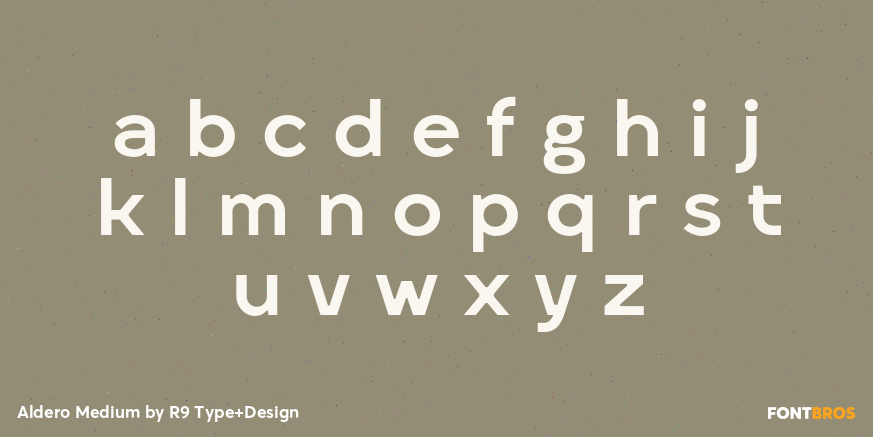 Aldero Medium Font Poster #3