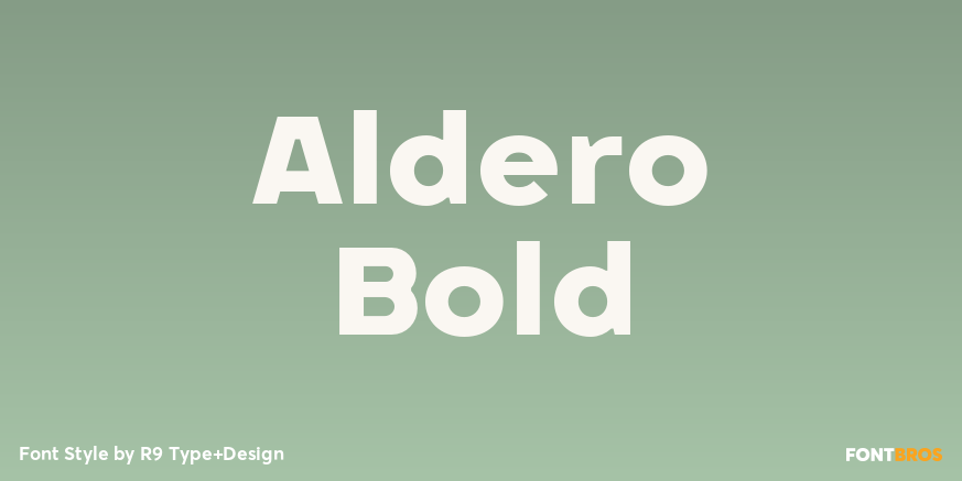 Aldero Bold Font Poster #1