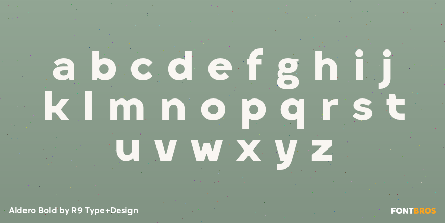 Aldero Bold Font Poster #3