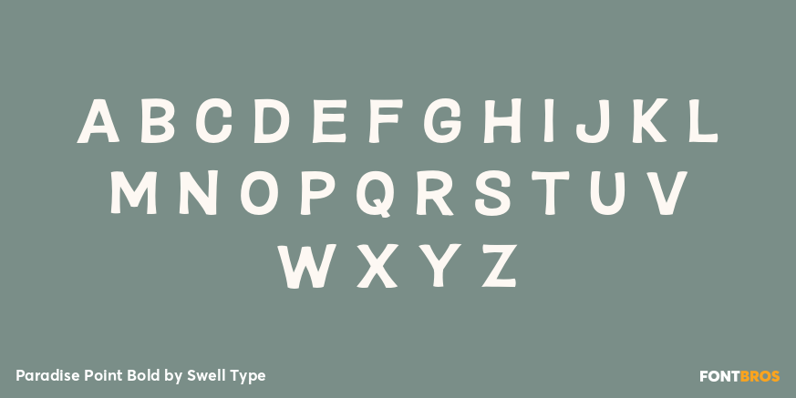 Paradise Point Bold Font Poster #2