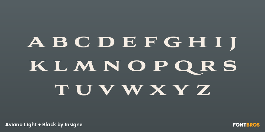 Aviano Light + Black Font Poster #1