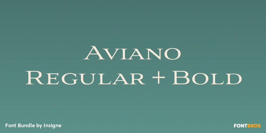 Aviano Regular + Bold Font Poster #1