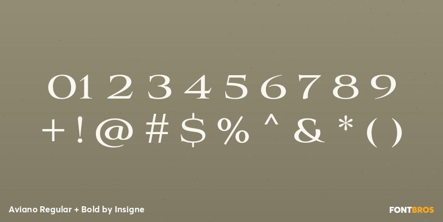 Aviano Regular + Bold Font Poster #1