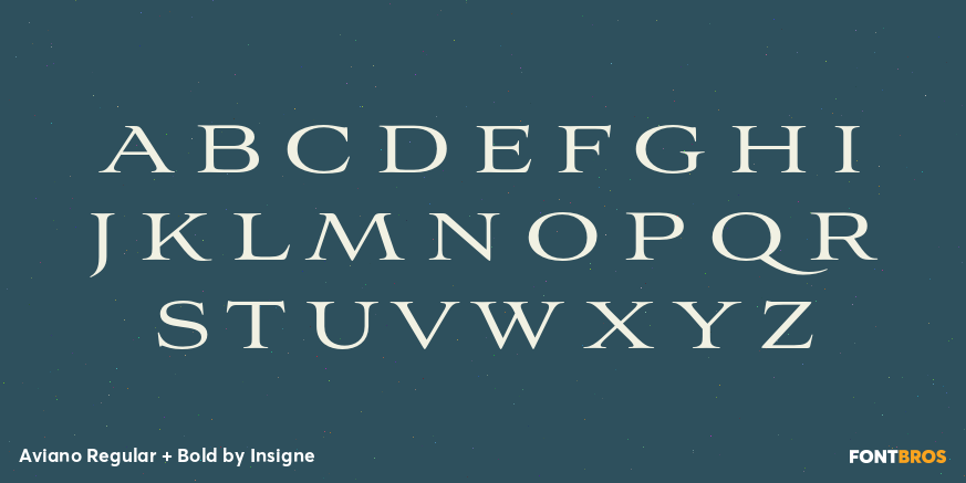 Aviano Regular + Bold Font Poster #1