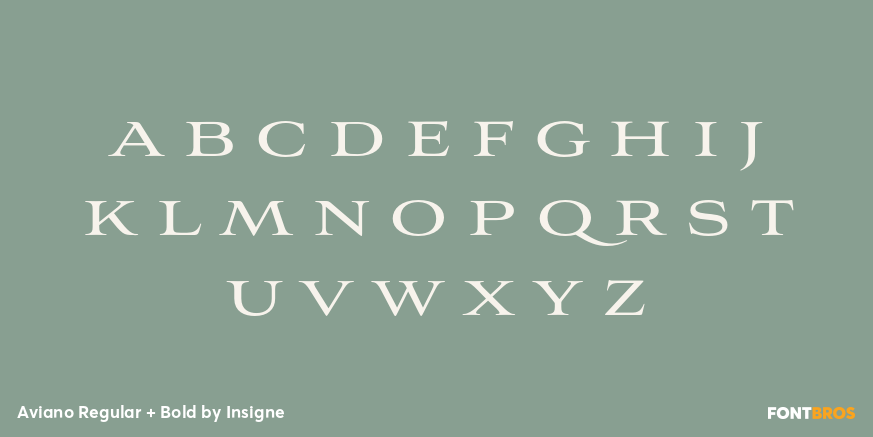 Aviano Regular + Bold Font Poster #1