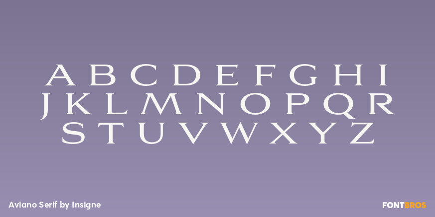 Aviano Serif Font Poster #2
