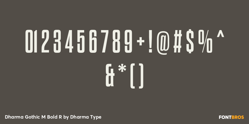 Dharma Gothic M Bold R Font Poster #4
