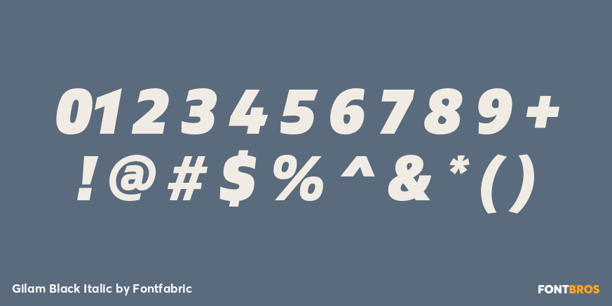 Gilam Black Italic Font Poster #1