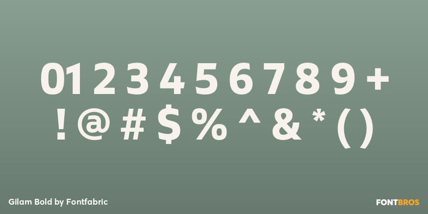 Gilam Bold Font Poster #4