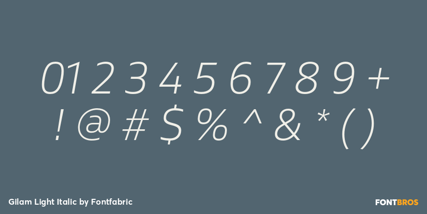 Gilam Light Italic Font Poster #1