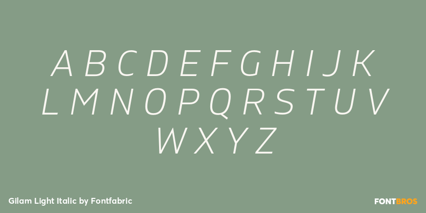 Gilam Light Italic Font Poster #1