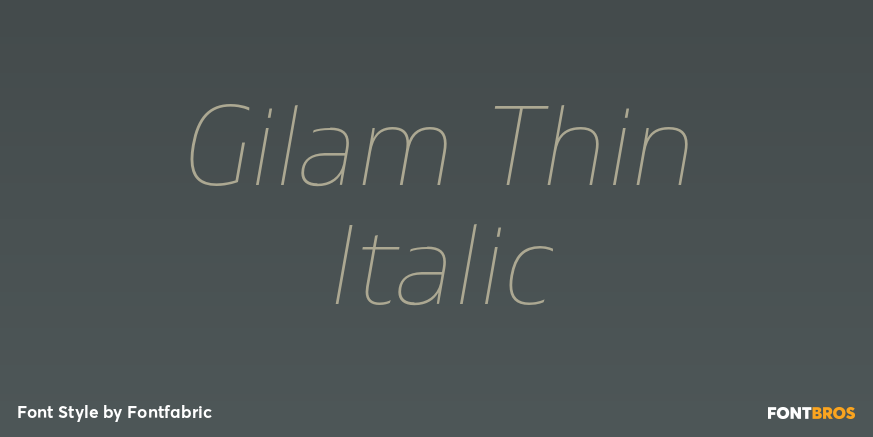 Gilam Thin Italic Font Poster #1