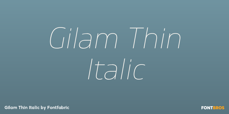 Gilam Thin Italic Font Poster #1