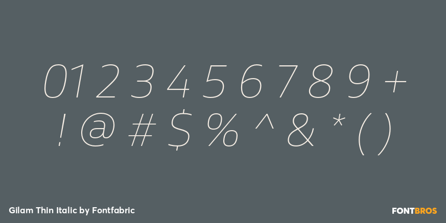 Gilam Thin Italic Font Poster #4