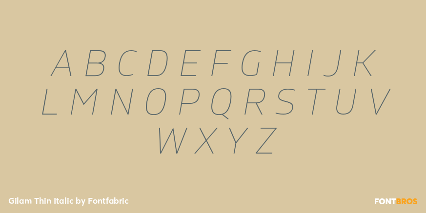Gilam Thin Italic Font Poster #1