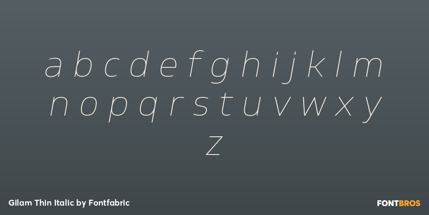 Gilam Thin Italic Font Poster #1