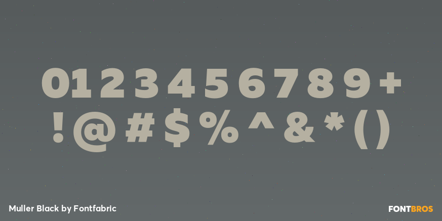 Muller Black Font Poster #1
