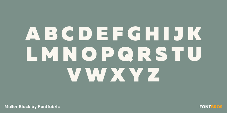 Muller Black Font Poster #2