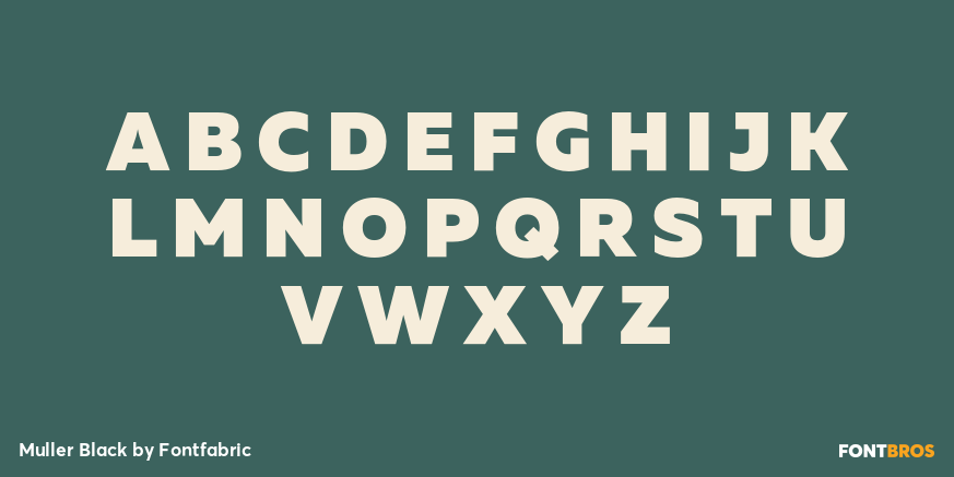 Muller Black Font Poster #1