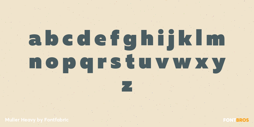 Muller Heavy Font Poster #3