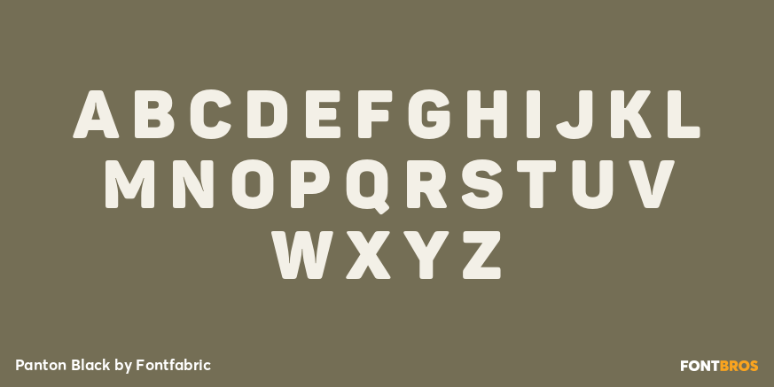 Panton Black Font Poster #2