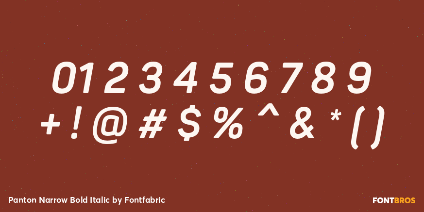 Panton Narrow Bold Italic Font Poster #4