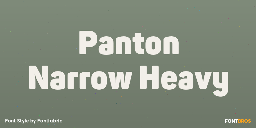 Panton Narrow Heavy Font Poster #1