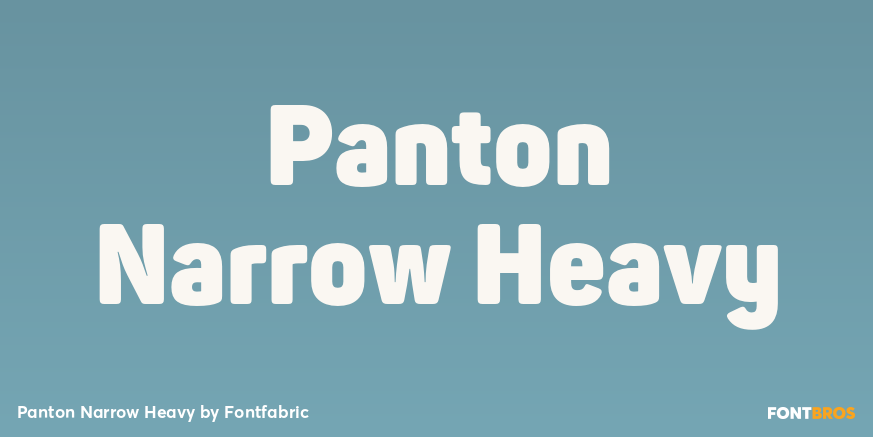 Panton Narrow Heavy Font Poster #1