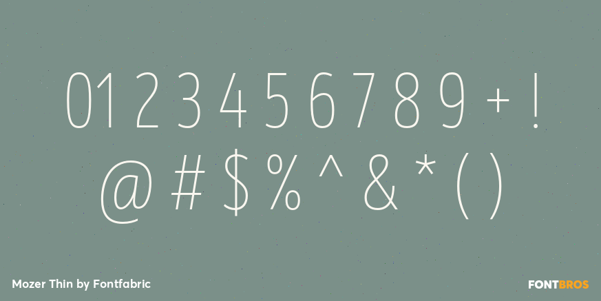 Mozer Thin Font Poster #4