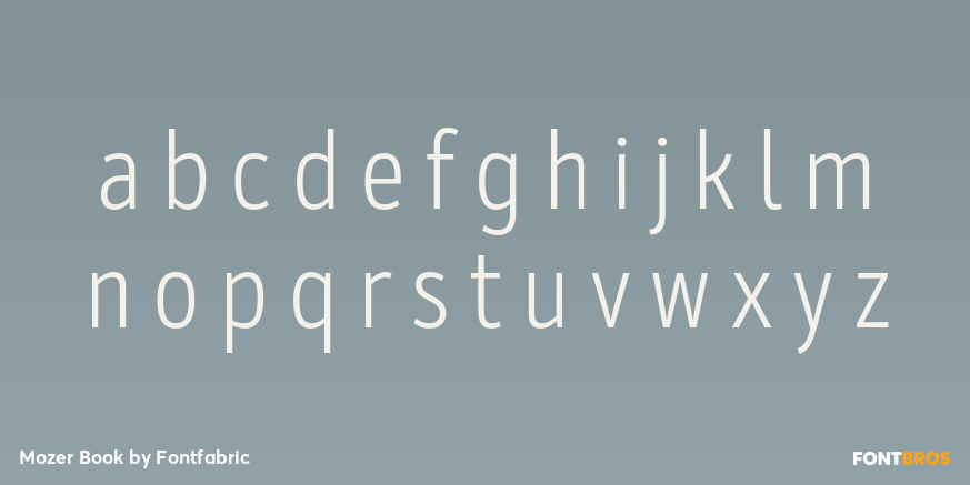 Mozer Book Font Poster #1