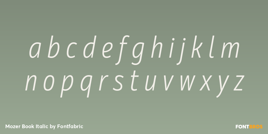 Mozer Book Italic Font Poster #1